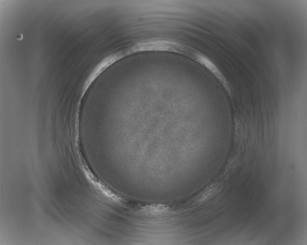 X0000080180994200612081356