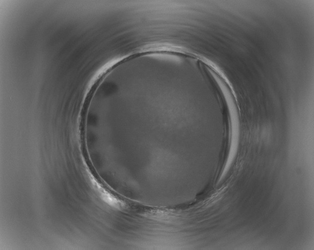 X0000080180995200612081356