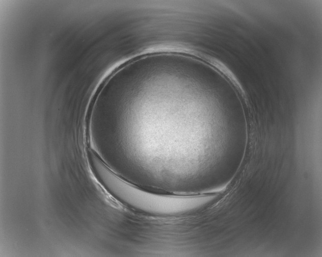 X0000080180996200612081356