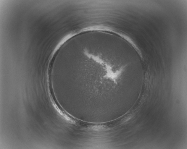 X0000080180998200612081356