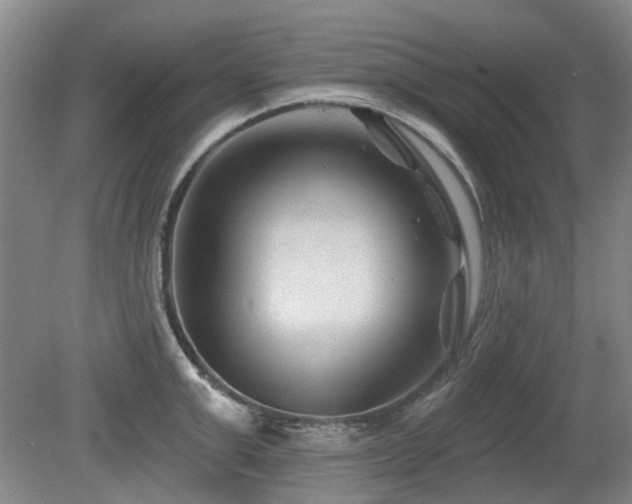 X0000080180999200612081356