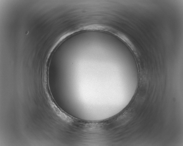 X0000080181000200612081356