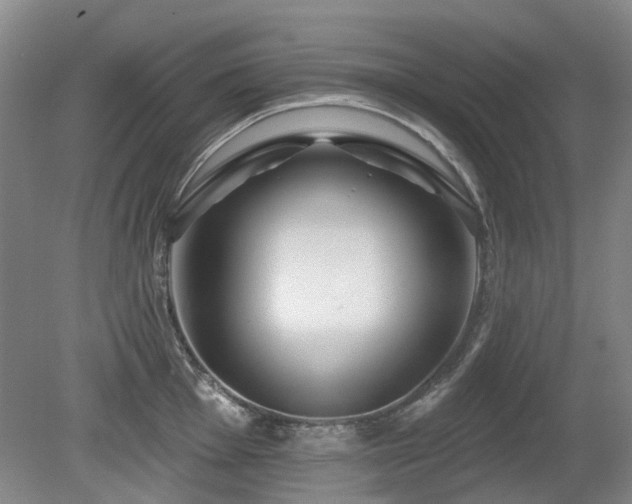 X0000080181001200612081356