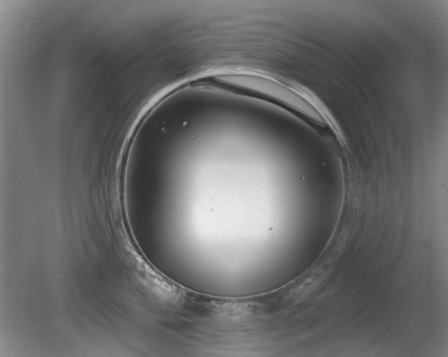 X0000080181004200612081356