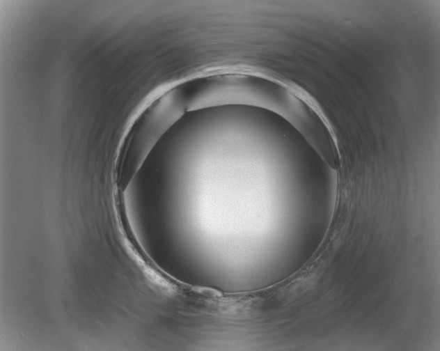 X0000080181005200612081356