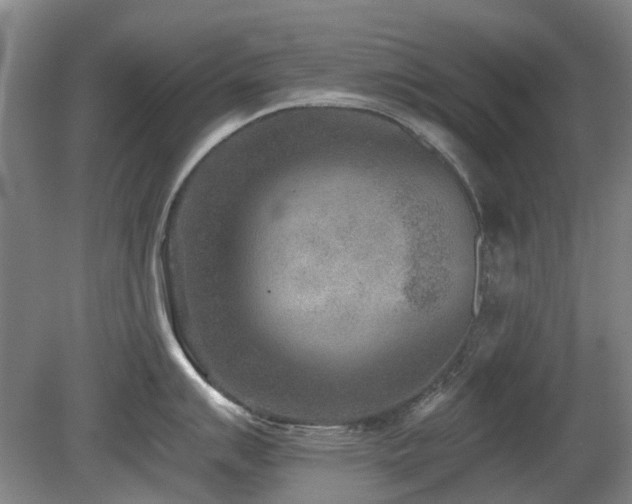 X0000080181007200612081356