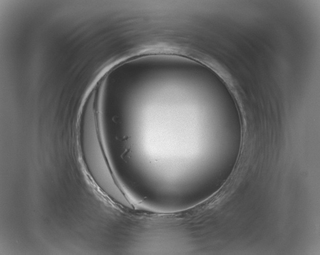 X0000080181008200612081356