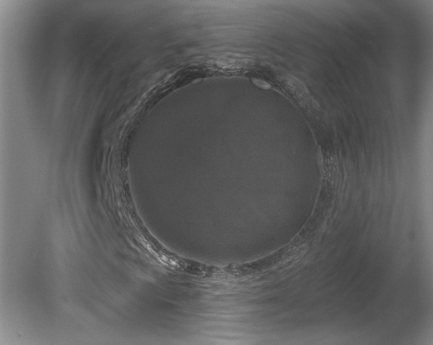 X0000080181009200612081355