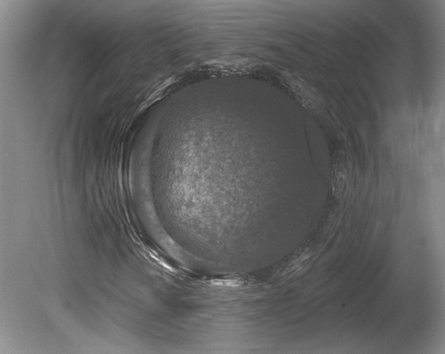 X0000080181010200612081355