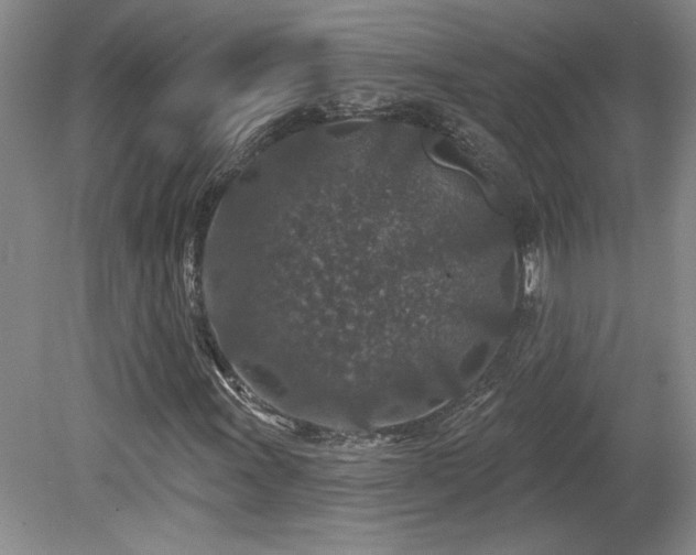 X0000080181011200612081355