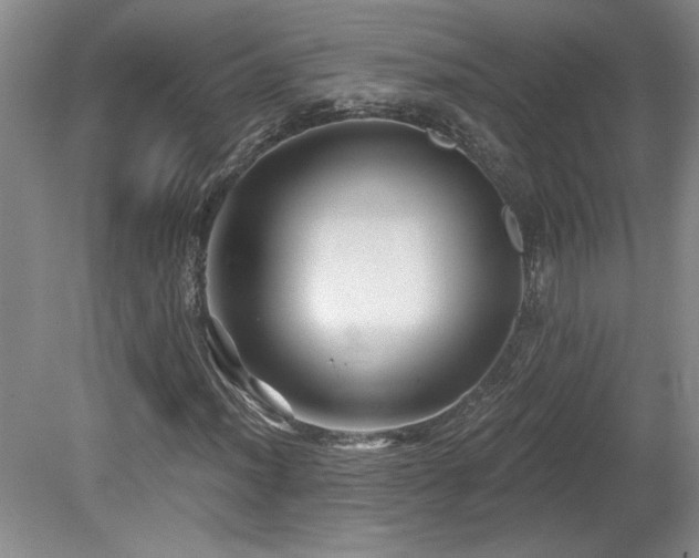 X0000080181012200612081355