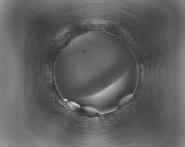 X0000080181013200612081355