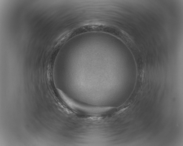 X0000080181014200612081355