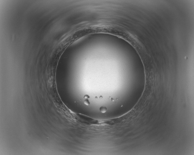 X0000080181015200612081355