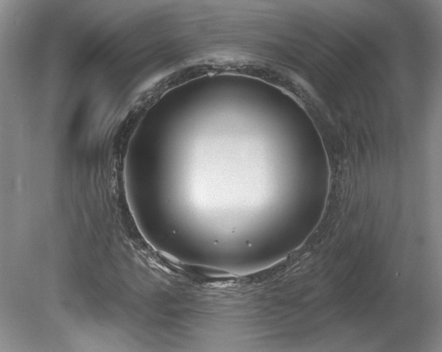 X0000080181016200612081355