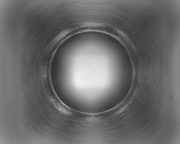 X0000080181017200612081355