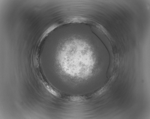 X0000080181018200612081355