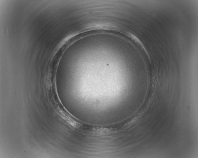 X0000080181019200612081355