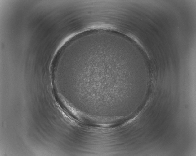 X0000080181022200612081355