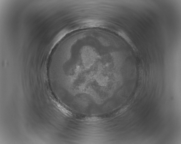 X0000080181023200612081355