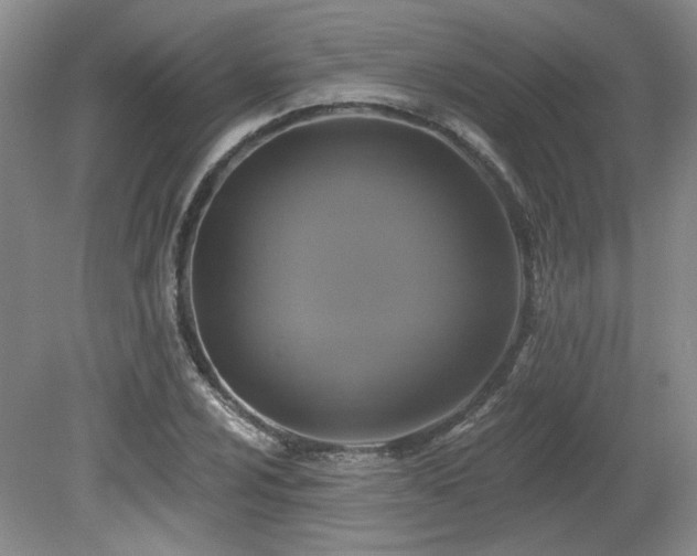 X0000080181024200612081355