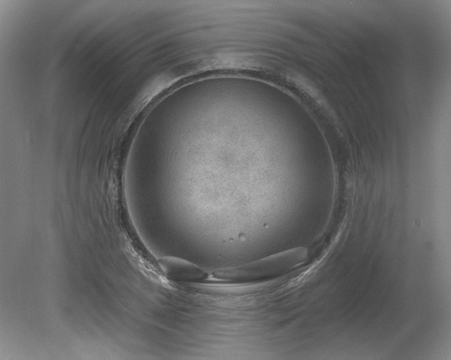 X0000080181025200612081355