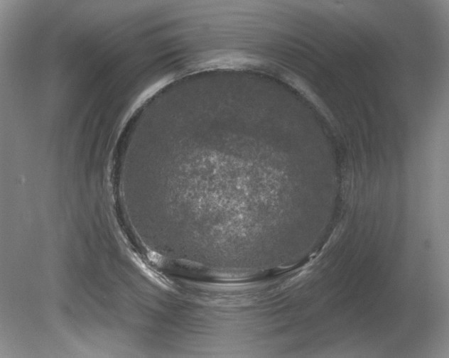 X0000080181026200612081356