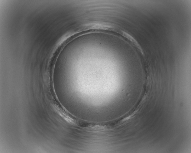 X0000080181027200612081356