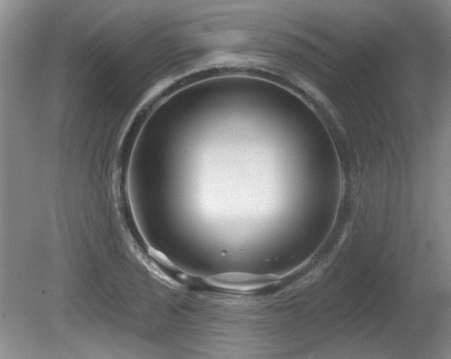 X0000080181029200612081356