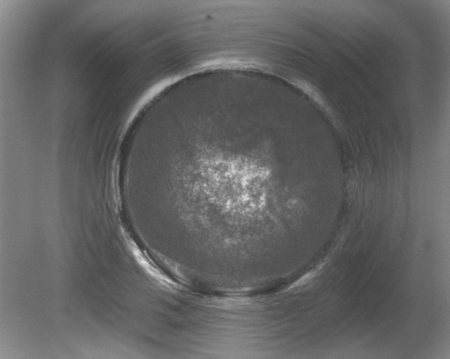 X0000080181030200612081356