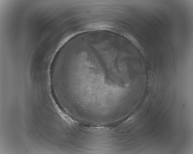 X0000080181031200612081356