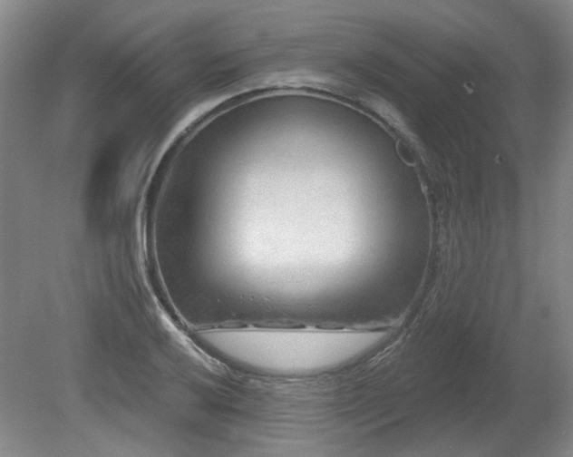 X0000080181032200612081356