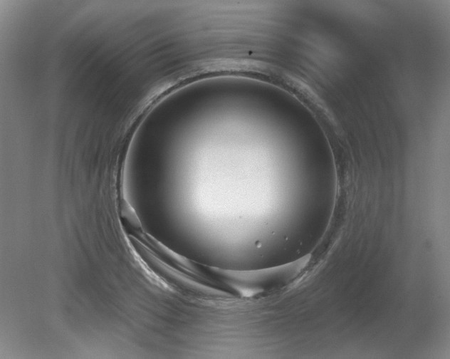 X0000080181033200612081356