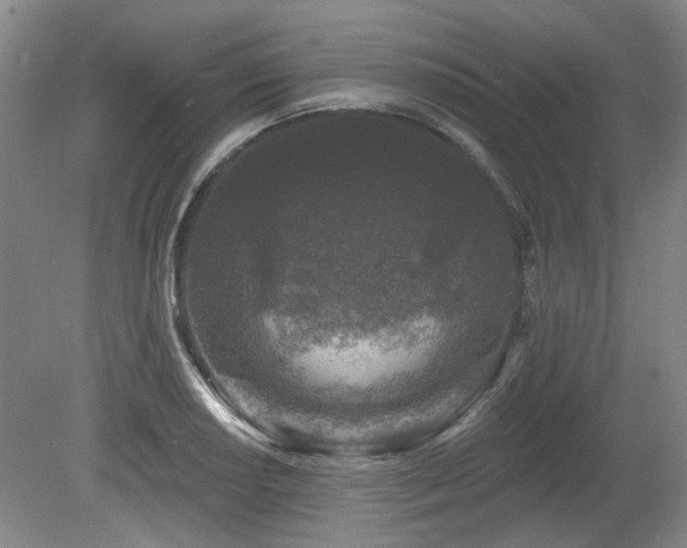 X0000080181034200612081356