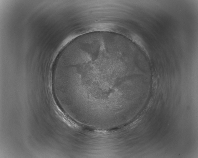 X0000080181035200612081356