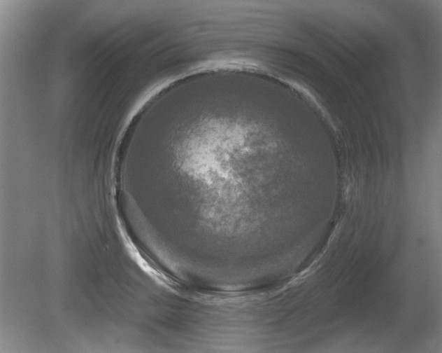 X0000080181038200612081356