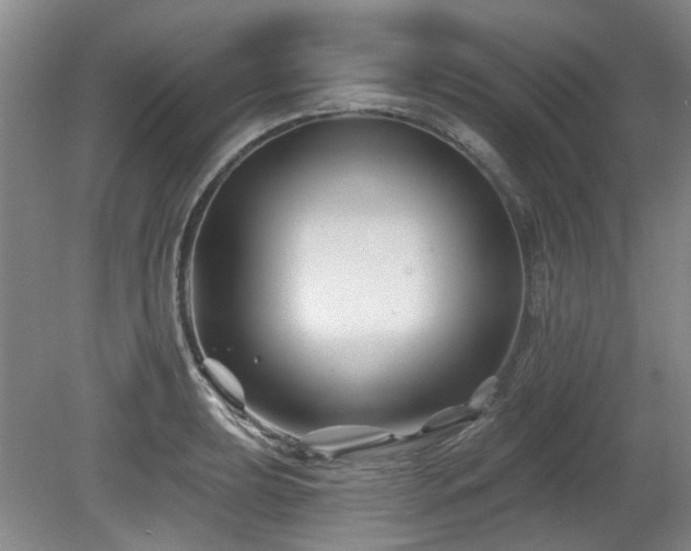 X0000080181039200612081356