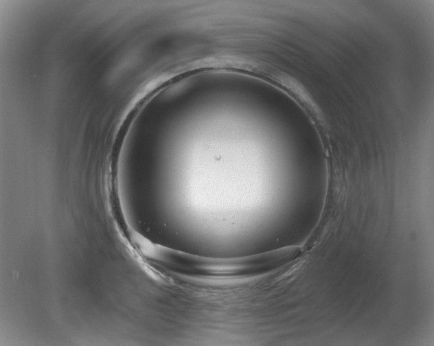 X0000080181040200612081356