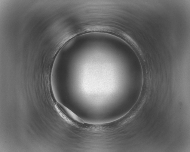 X0000080181041200612081356