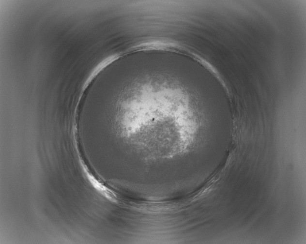 X0000080181042200612081356