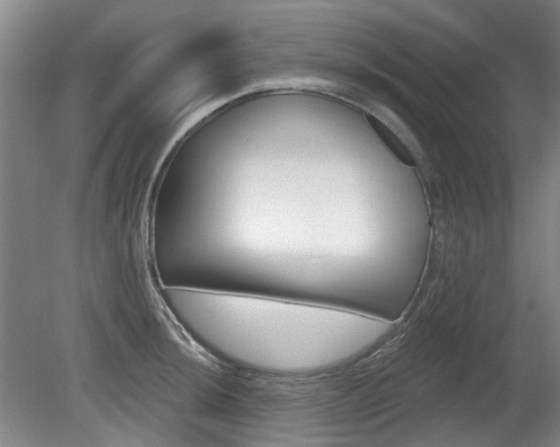 X0000080181044200612081356