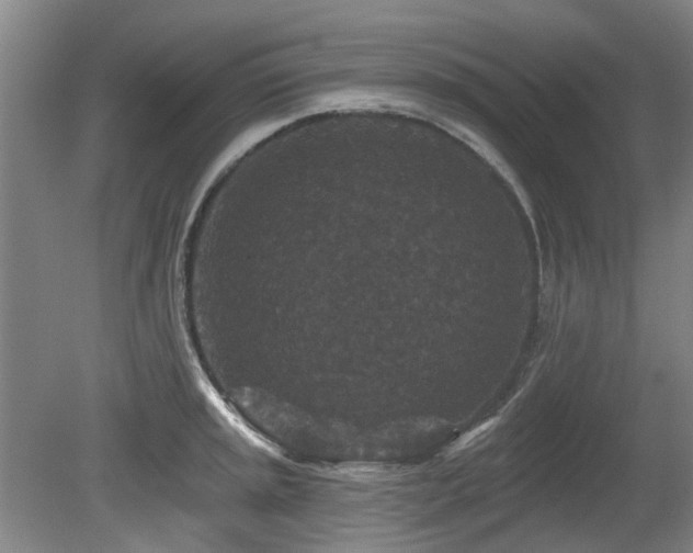 X0000080181045200612081356