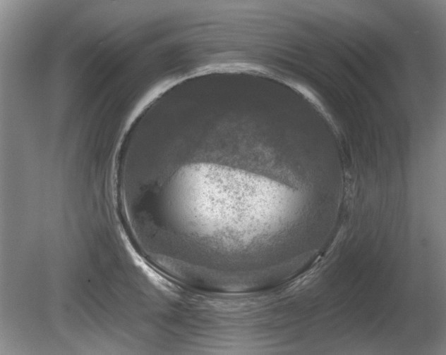 X0000080181046200612081356