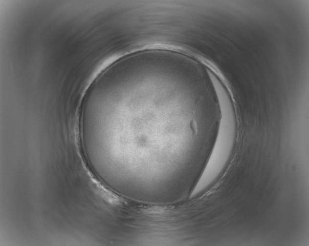 X0000080181048200612081356