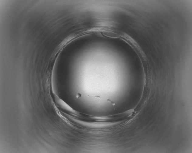 X0000080181049200612081356