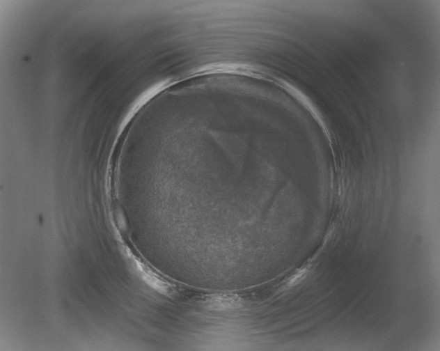 X0000080181050200612081356