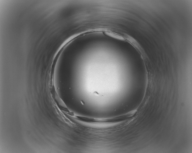 X0000080181052200612081356