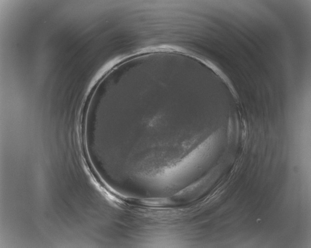 X0000080181054200612081356