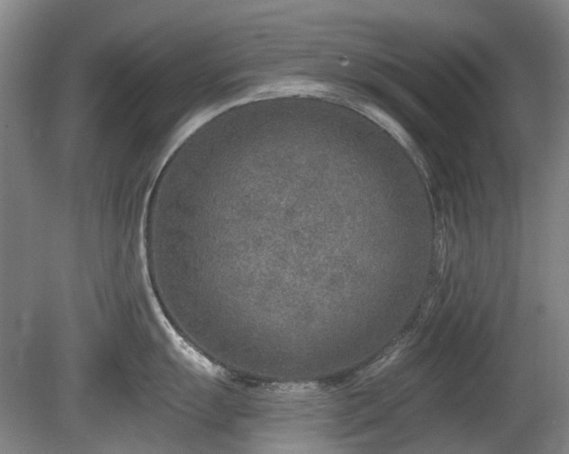 X0000080181055200612081356