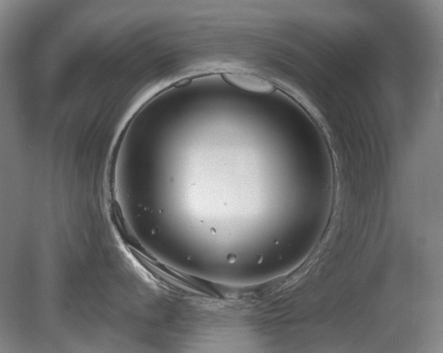 X0000080181056200612081356